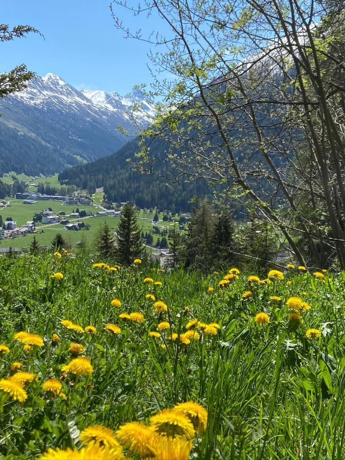 Ferienwohnung Sunneschii Davos Buitenkant foto